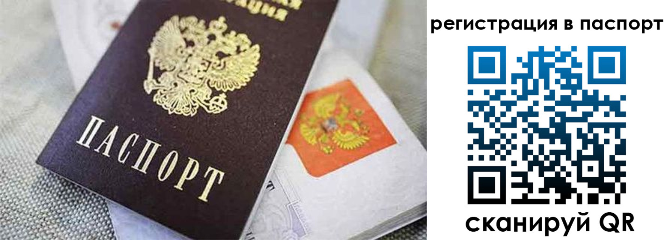 временная регистрация поиск в Хабаровске